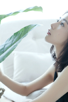 365天:今时之欲观